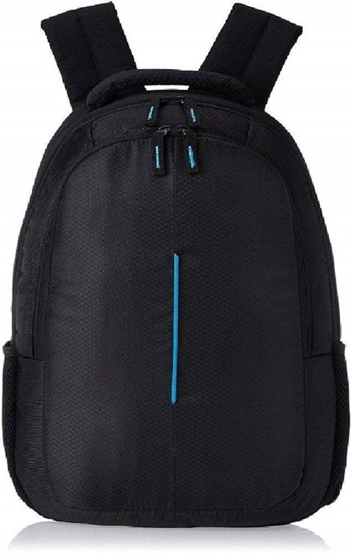 Royal Black Polyester 19 LTR Laptop Backpack
