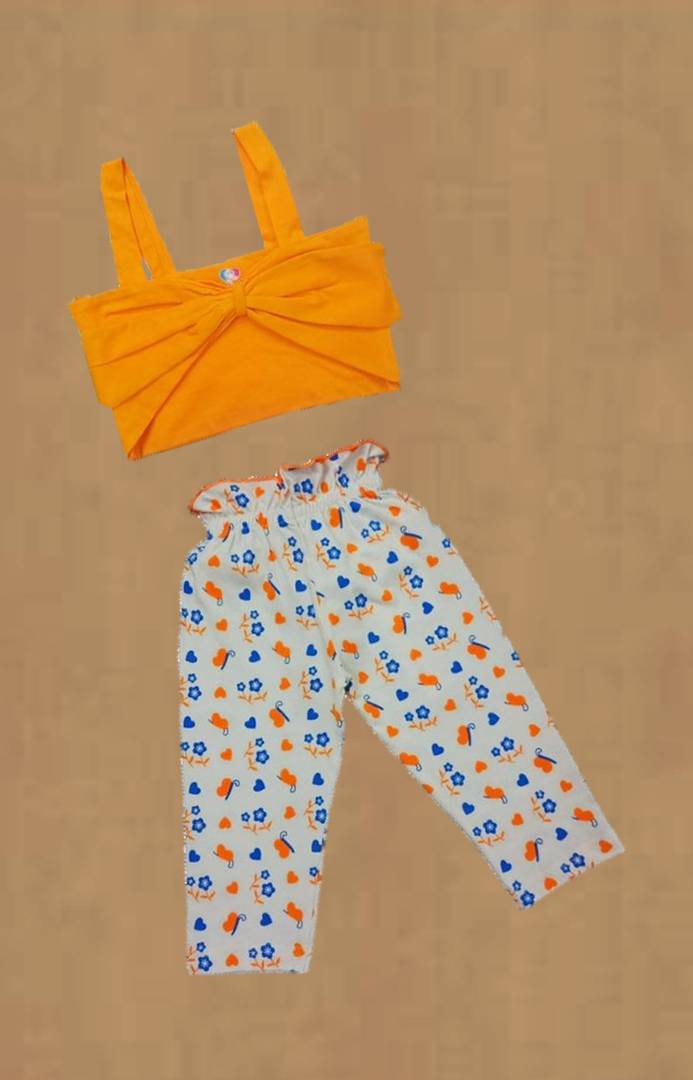 Pretty Orange Casual Top With Pant Set