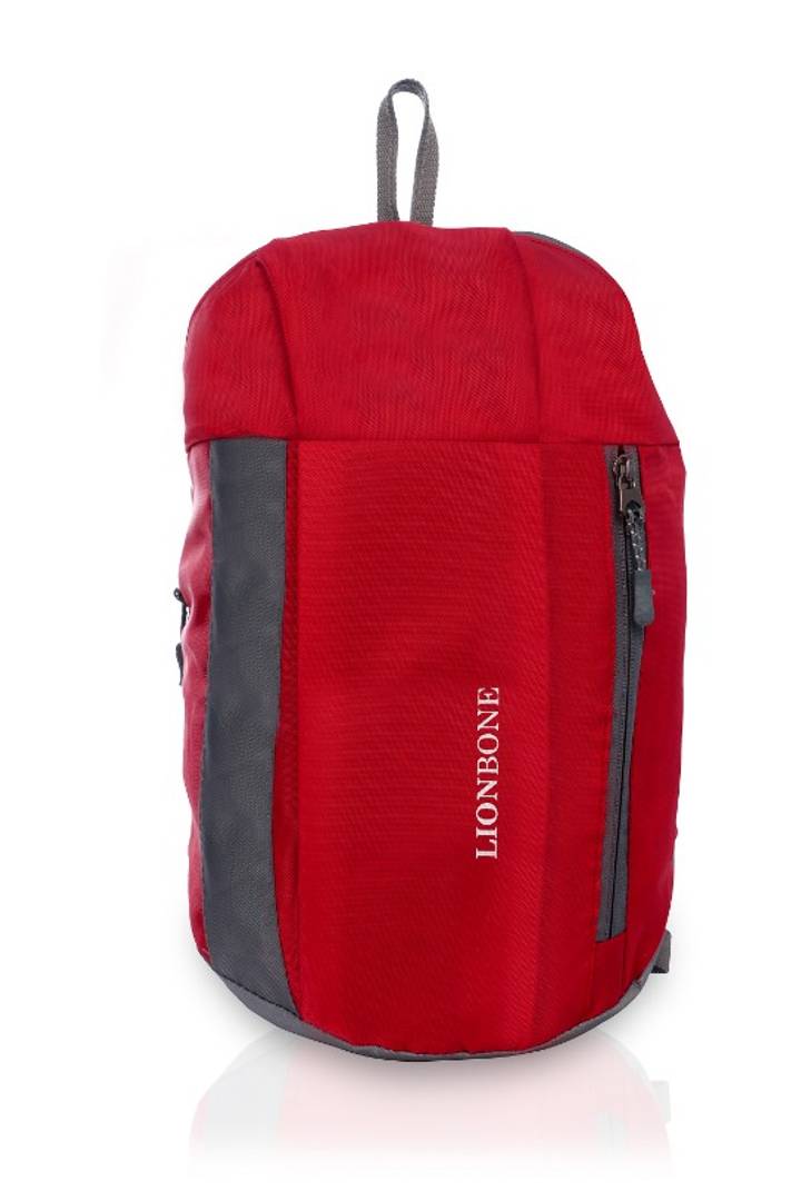 LIONBONE Boys Girls Casual Backpack Polyester Tuition Bag