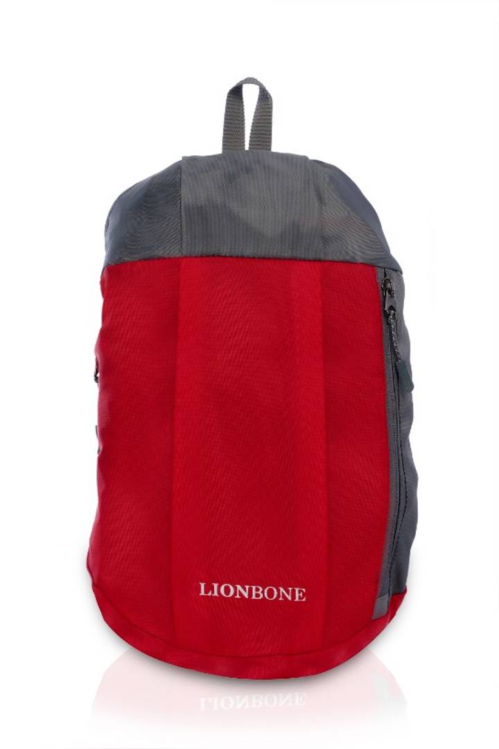 LIONBONE Unisex Boys Girls Casual Backpack Polyester Tuition Bag